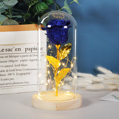 Valentinstagsgeschenk für Freundin – Ewige Rosenblume mit LED-Licht im Glas, Hochzeits- und Muttertagsdekoration, Geschenk für Frauen