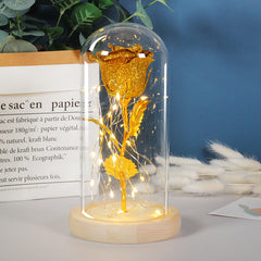 Valentinstagsgeschenk für Freundin – Ewige Rosenblume mit LED-Licht im Glas, Hochzeits- und Muttertagsdekoration, Geschenk für Frauen