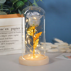 Valentinstagsgeschenk für Freundin – Ewige Rosenblume mit LED-Licht im Glas, Hochzeits- und Muttertagsdekoration, Geschenk für Frauen