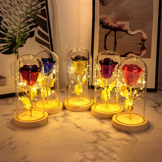 Valentinstagsgeschenk für Freundin – Ewige Rosenblume mit LED-Licht im Glas, Hochzeits- und Muttertagsdekoration, Geschenk für Frauen