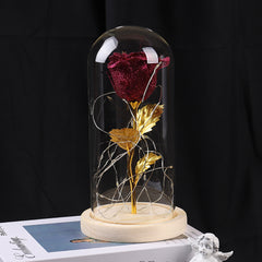 Valentinstagsgeschenk für Freundin – Ewige Rosenblume mit LED-Licht im Glas, Hochzeits- und Muttertagsdekoration, Geschenk für Frauen