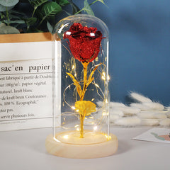 Valentinstagsgeschenk für Freundin – Ewige Rosenblume mit LED-Licht im Glas, Hochzeits- und Muttertagsdekoration, Geschenk für Frauen