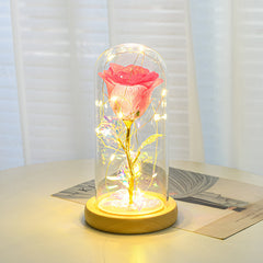 Valentinstagsgeschenk für Freundin – Ewige Rosenblume mit LED-Licht im Glas, Hochzeits- und Muttertagsdekoration, Geschenk für Frauen