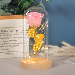 Valentinstagsgeschenk für Freundin – Ewige Rosenblume mit LED-Licht im Glas, Hochzeits- und Muttertagsdekoration, Geschenk für Frauen